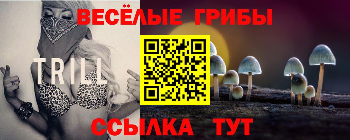Псилоцибиновые грибы Magic Shrooms Старая Купавна