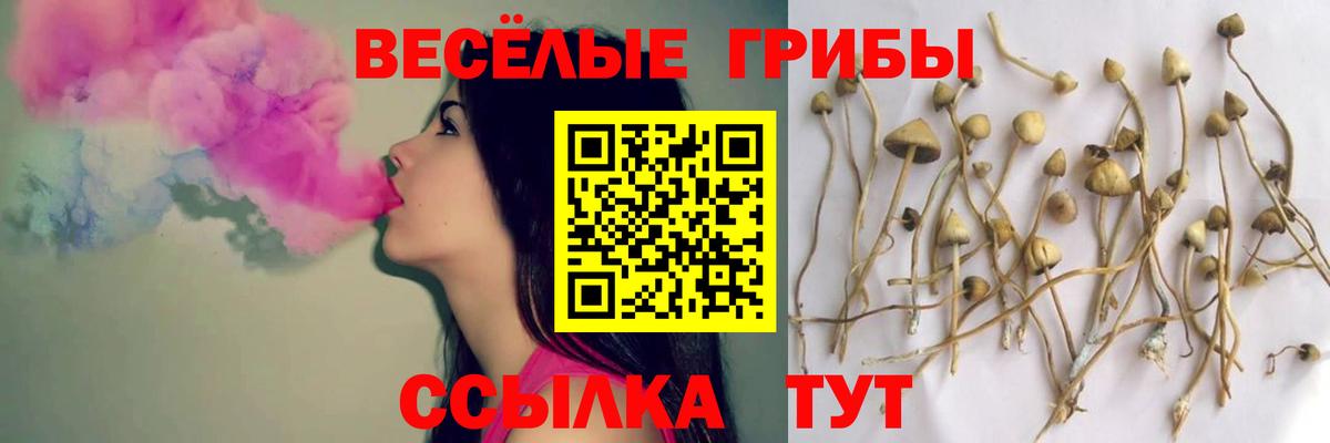 Старая Купавна  Псилоцибиновые грибы мицелий  Галлюциногенные грибы Magic Shrooms  Вход с VPN 